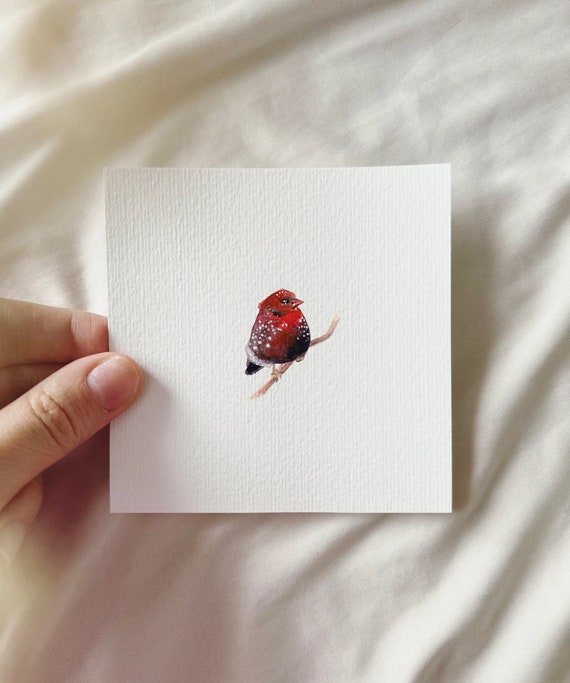 Flying Jewel: Tiger Finch - Miniature Art Print - Print from my Original Watercolor | DelicateAesthetic