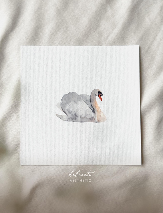 Graceful Harmony: A Royal Swan - Miniature Art Print - Print from my Original Watercolor | DelicateAesthetic