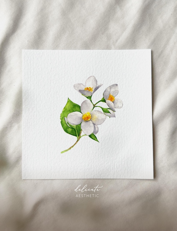 Jasmine Flowers - Miniature Art Print - Print from my Original Watercolor | DelicateAesthetic