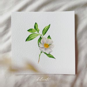 Zarte Blüte in Harmonie - Miniatur Kunstdruck - Druck nach meinem Original Aquarell | DelicateAesthetic