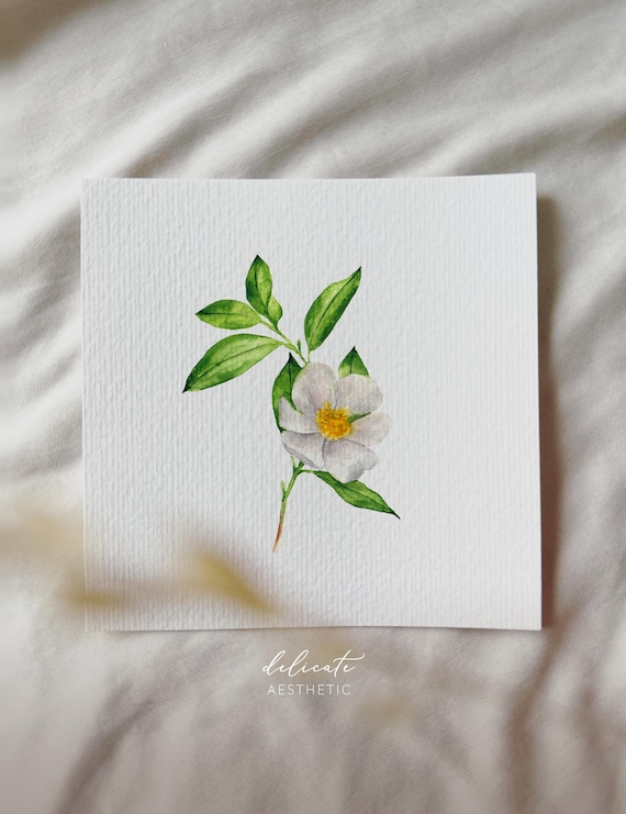 Delicate Blossom in Harmony - Miniature Art Print - Print after my Original Watercolor | DelicateAesthetic