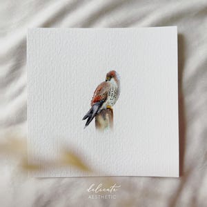 Le Gardien du Ciel : Crécerelle - Impression d'art miniature - Impression d'après mon aquarelle originale | Esthétique délicate