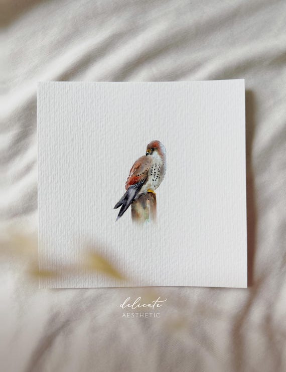 The Guardian of the Sky: Kestrel - Miniature Art Print - Print from my Original Watercolor | DelicateAesthetic