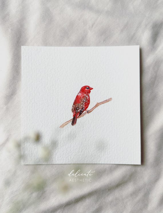 Tiger Finch - Miniature Art Print - Print after my original watercolor | DelicateAesthetic
