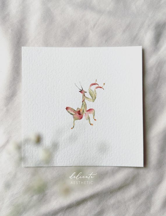 Orchid Mantis - Miniature Art Print - Print from my original watercolor | DelicateAesthetic