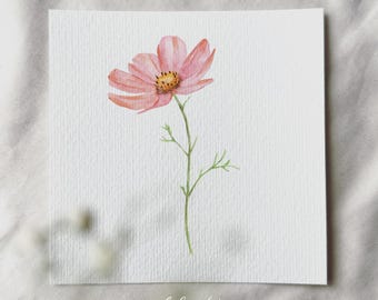 May include: A watercolor painting of a delicate pink cosmos flower with green stems and leaves. The painting is on a white background with the text "delicate aesthetic" written below the flower.