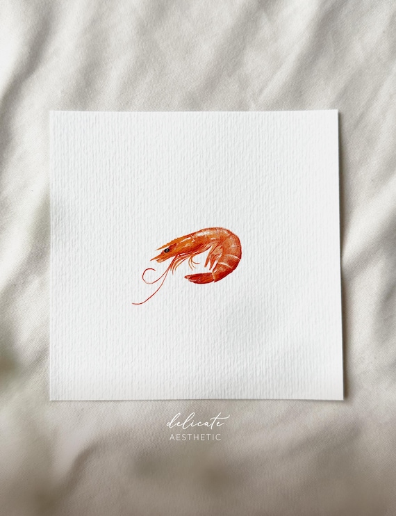Shrimp - Miniature Art Print - Print based on my original watercolor, digital art | DelicateAesthetic