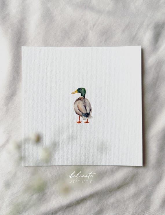 Drake - Miniature Art Print - Print after my original watercolor | DelicateAesthetic