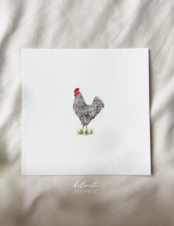 Sparrowhawk Chicken | Miniature Art Print | Print from my Original Watercolor | DelicateAesthetic