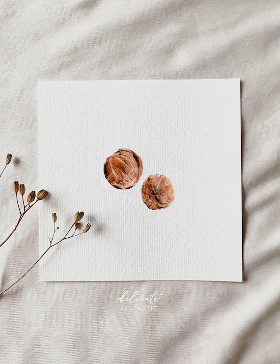Walnut Duo - Miniature art print based on my original watercolor painting | DelicateAesthetic