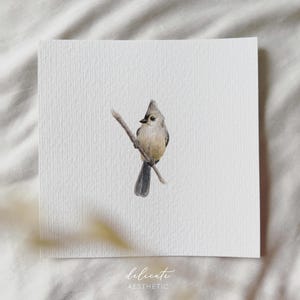 Cincia dal ciuffo grigio - stampa artistica in miniatura - stampa basata sul mio acquerello originale | Estetica delicata