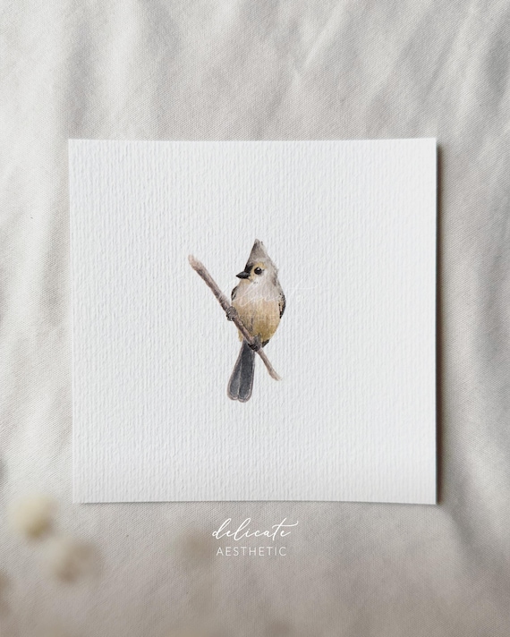 Grey-crested Tit - Miniature Art Print - Print from my original watercolor | DelicateAesthetic