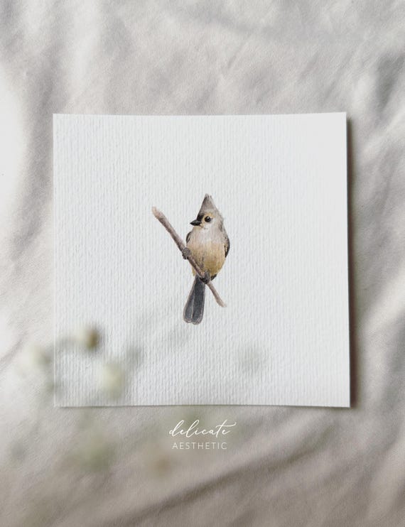 Grey-crested Tit - Miniature Art Print - Print from my original watercolor | DelicateAesthetic