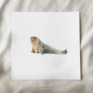 Walross - Miniatur Kunstdruck - Druck nach meinem Original Aquarell | DelicateAesthetic
