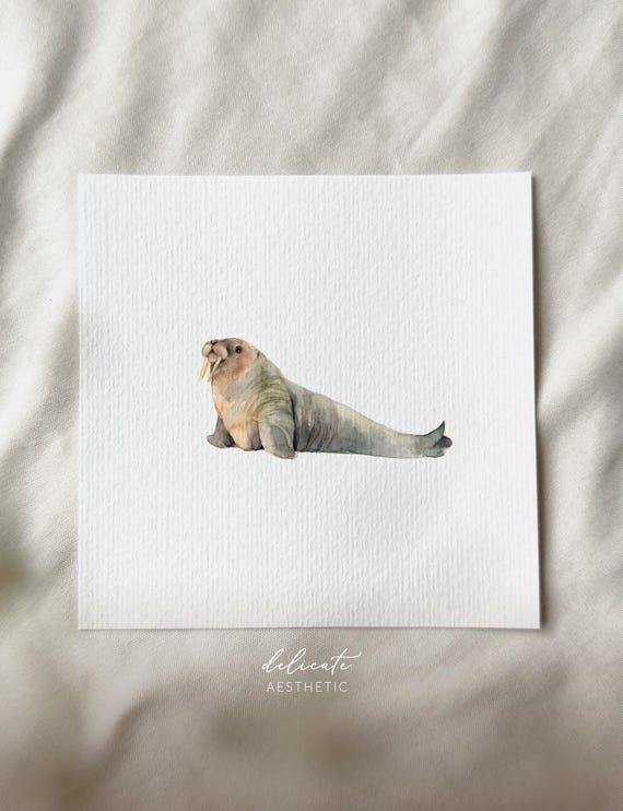 Walrus - Miniature Art Print - Print from my original watercolor | DelicateAesthetic