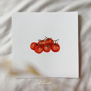 May include: Watercolor painting of a cluster of ripe red tomatoes with green stems on a white square. The words "delicate aesthetic" are written in cursive below the tomatoes.
