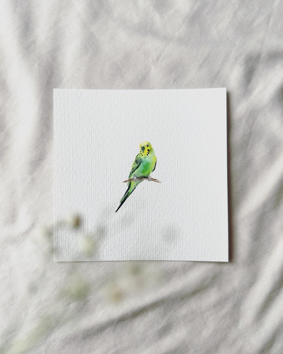 Green Budgerigar - Miniature Art Print - Print based on my original watercolor | DelicateAesthetic