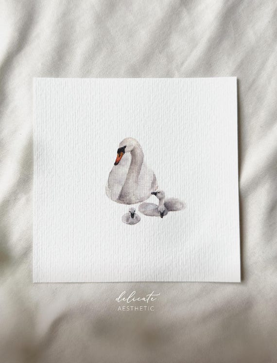 Watercolor Swan Family - Miniature Art Print - Print from my Original Watercolor | DelicateAesthetic