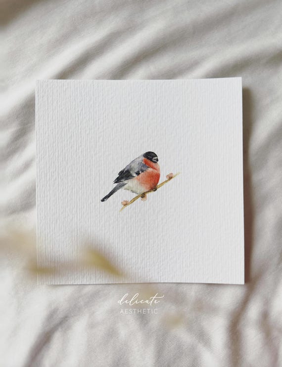 Watercolor bullfinch on a branch - miniature art print - print from my original watercolor | DelicateAesthetic