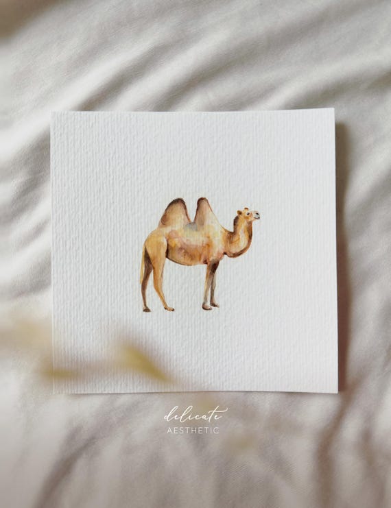 Camel - Miniature Art Print - Print after my original watercolor | DelicateAesthetic