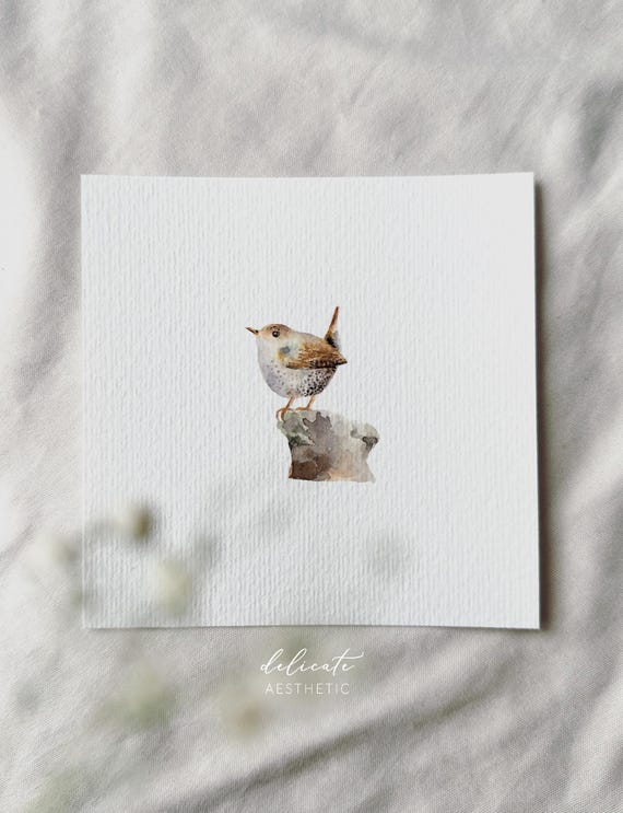 Wren - Miniature Art Print - Print from my original watercolor | DelicateAesthetic