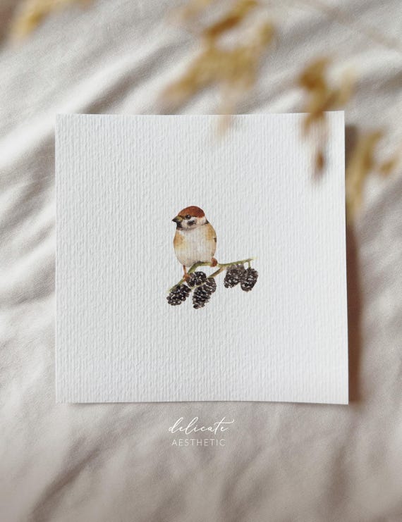Sparrow on a cone branch - miniature art print - print from my original watercolor | DelicateAesthetic