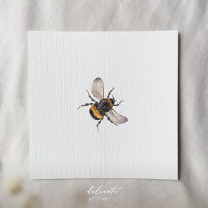 Bumblebee - Stampa artistica in miniatura - Stampa dal mio acquerello originale | DelicateAesthetic