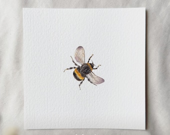 Bumblebee - Miniature Art Print - Print from my Original Watercolor | DelicateAesthetic