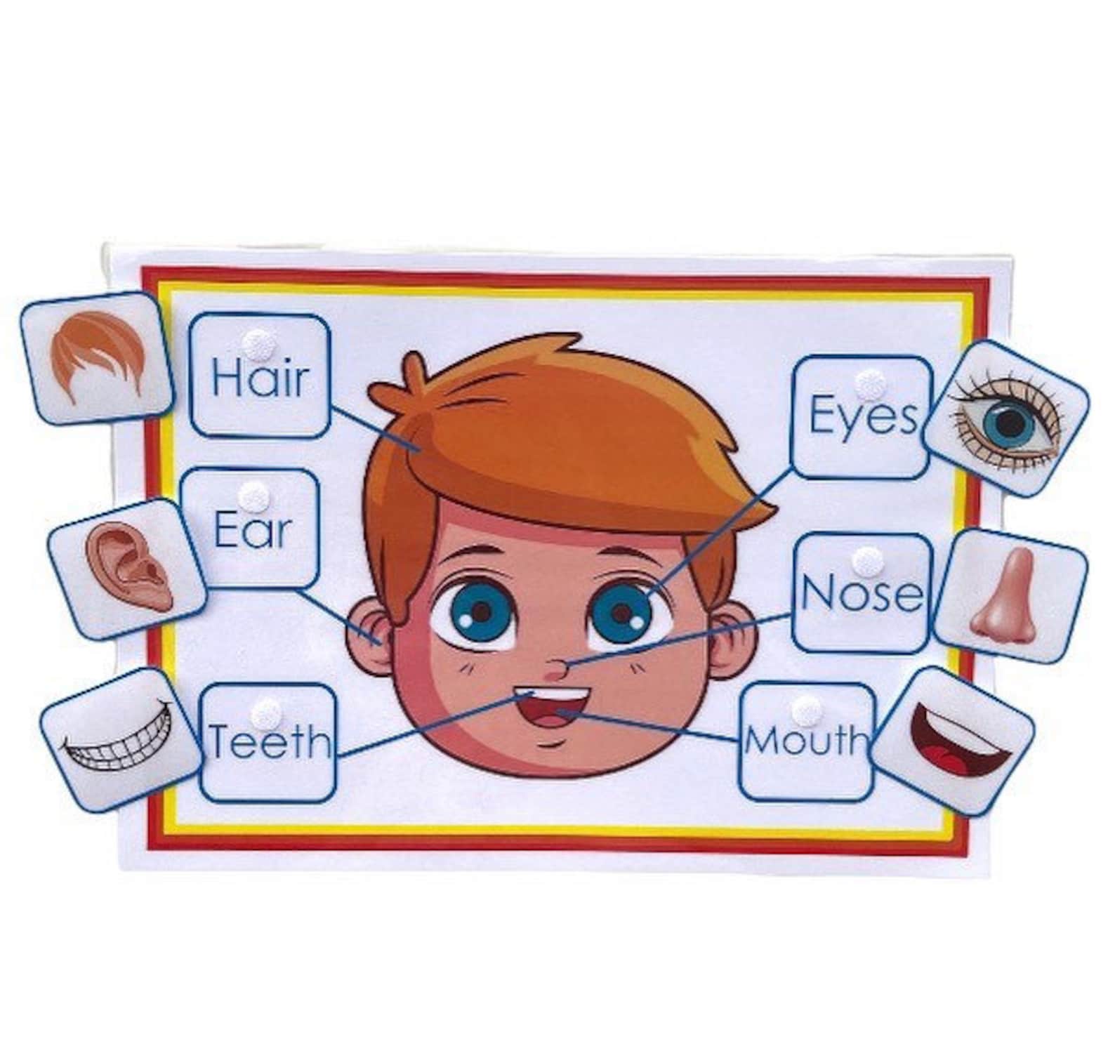 Parts Of The Face Activity Sheet Etsy Parts Of The Face Activity Sheet Etsy