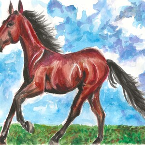 Horse A5 A4 Print colt, foal, stallion