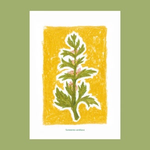 Les botaniques - affiche d'art A5 - pastels à l'huile, illustration de fleurs botaniques, de plantes