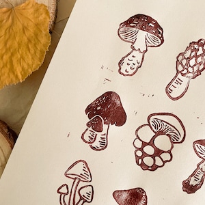 May include: A sheet of paper with brown ink illustrations of various mushrooms. The mushrooms are drawn in a simple, stylized manner.