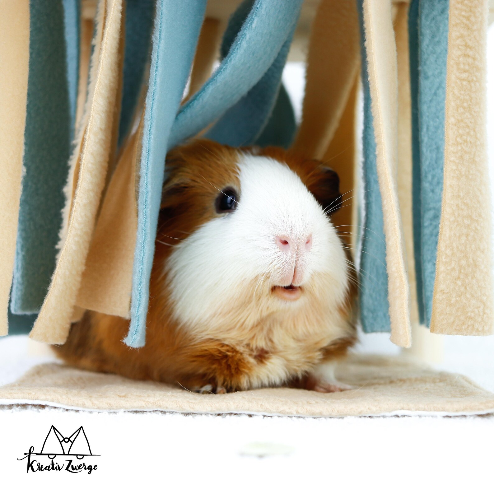 Guinea Pig Car wash I Wide range of fabrics I Wooden frame I Etsy