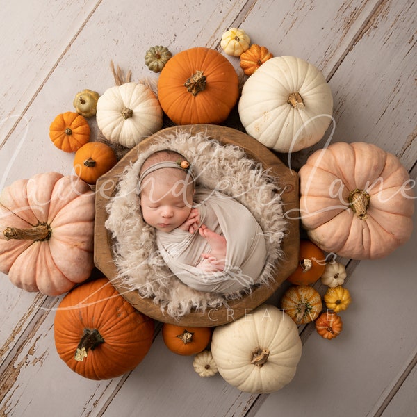 Newborn Fall Pumpkin Digital Composite, Wooden bowl, Pumpkins pumpkins pumpkins!!, Cream Suffer, Wood Backdrop Autumn Theme