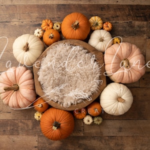 Newborn Fall Pumpkin Digital Composite, Wooden Bowl, Pumpkins pumpkins pumpkins!!, Cream Suffer, Wood Backdrop Autumn Theme