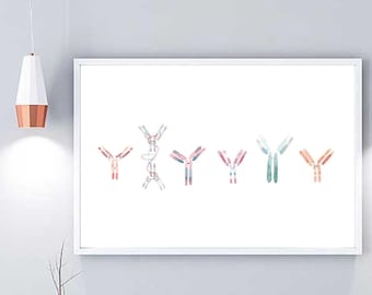 Antibodies science art, microbiology antibody watercolor, microbiology science print, science wall art, immunology wall decor art print gift