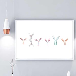 Arte científica de anticorpos, aquarela de anticorpos de microbiologia, impressão científica de microbiologia, arte de parede científica, presente de impressão de arte de decoração de parede de imunologia