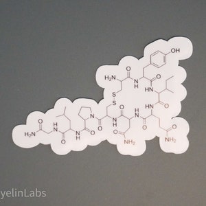 Oxytocin sticker, neuroscience molecule sticker, hugging love molecule, laboratory notebook sticker, waterproof water bottle sticker