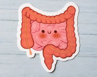 Labeled Digestive System Diagram | Sticker | Hand-drawn | Anatomy ...
