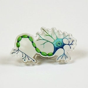 Neuron pin, molecular biology pins, neuroscience pin, neuron badge, phd biology pin, acrylic science pins