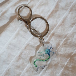 May include: A silver keychain with a clear charm featuring a detailed illustration of a neuron, a nerve cell, with green and blue accents.