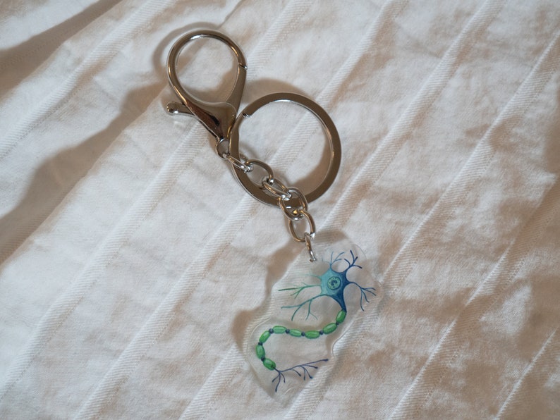 May include: A silver keychain with a clear charm featuring a detailed illustration of a neuron, a nerve cell, with green and blue accents.