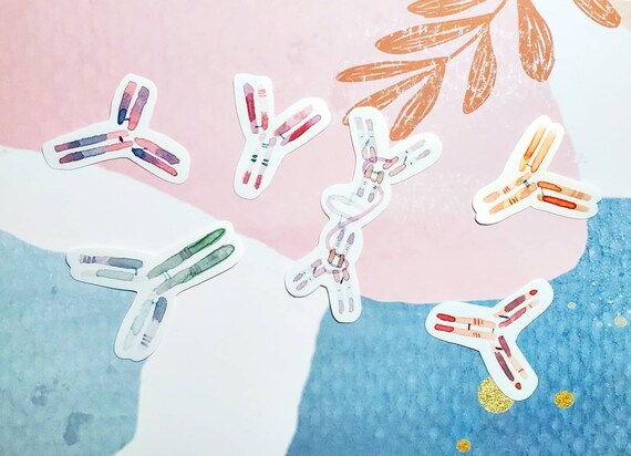 Antibody Sticker Set Biology Stickers Immunology Stickers | Etsy