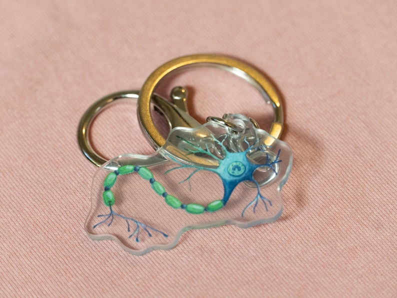 May include: A clear keychain with a detailed illustration of a neuron, featuring a blue cell body, green myelin sheath, and branching dendrites and axon. The keychain is attached to a silver key ring.