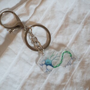 May include: A silver keychain with a clear charm depicting a green and blue neuron. The neuron has a cell body, dendrites, and an axon.