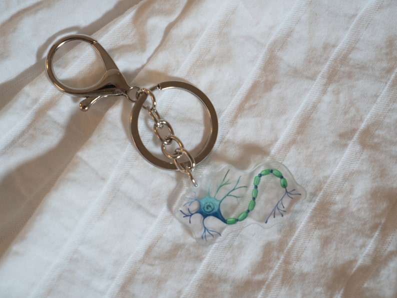 May include: A silver keychain with a clear charm depicting a green and blue neuron. The neuron has a cell body, dendrites, and an axon.