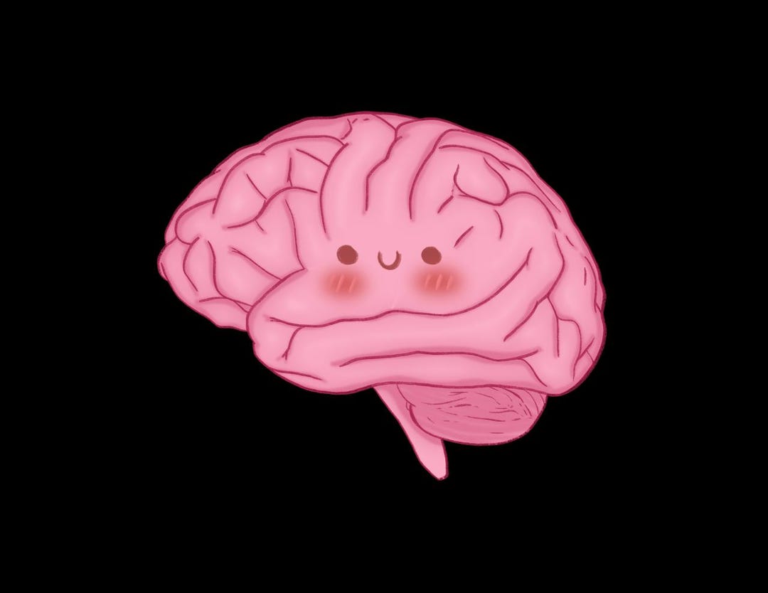 Brain Sticker, Waterproof Neuroscience Sticker, Medical Student Gift ...