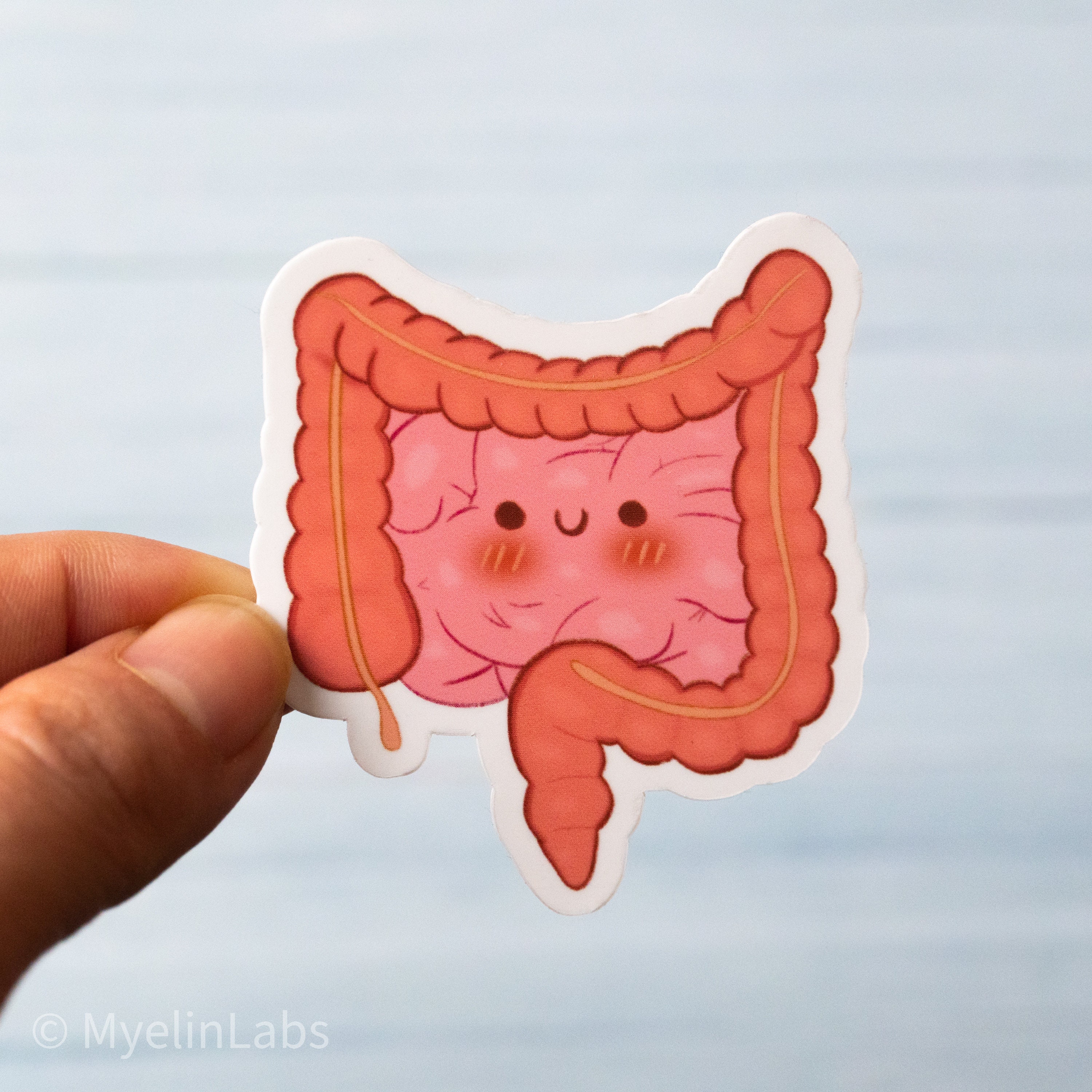 Intestine Sticker Intestine Sticker, Waterproof Medic Sticker, Doctor Gift, Journaling ...