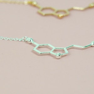 Serotonin necklace, chemistry necklace, neurotransmitter necklace, stainless steel, science necklace, gifts for her, Christmas Gift for her