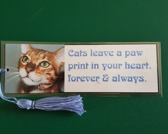 Cats, forever and always